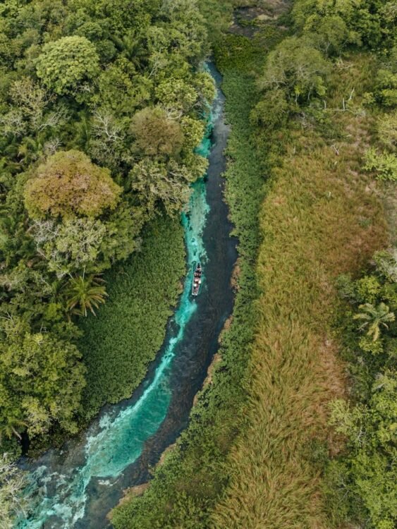 Na imagem vemos uma foto tirada de cima de um rio de Bonito no Mato Grosso do Sul com águas cristalinas cercados de muitas árvores. Esse é um destinos para onde você pode viajar mais e gastar menos